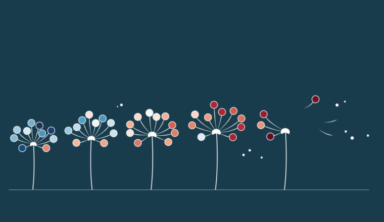 Stylized graphic of six dandelion-like flowers with white, blue, and red circular petals on a navy background, some petals appear to be blowing away.