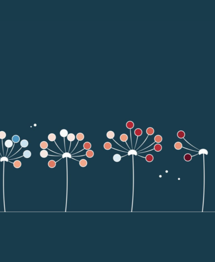 Stylized graphic of six dandelion-like flowers with white, blue, and red circular petals on a navy background, some petals appear to be blowing away.