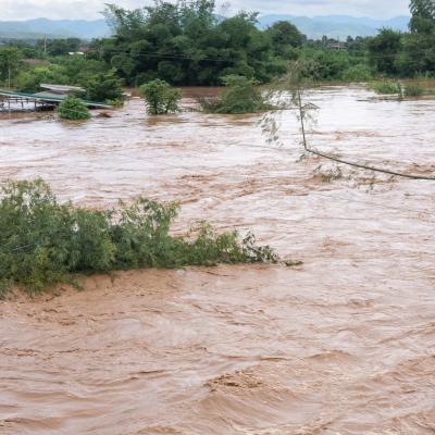 A flooded river with brown, swirling water surrounding trees and a partially submerged structure.