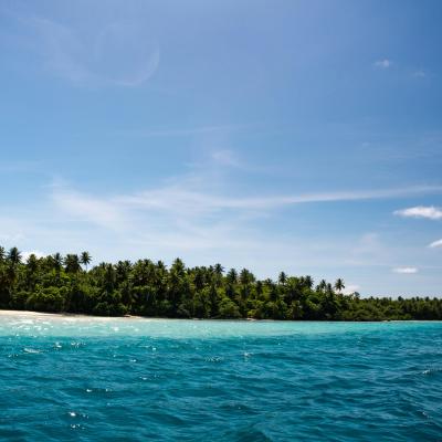 Tropical island with dense green palm trees, sandy beach, and clear blue ocean under a sunny sky.