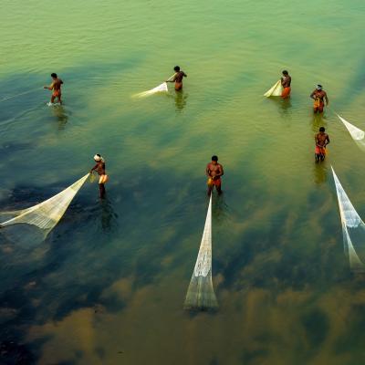 Six people stand in shallow water, each holding a long fishing net submerged in the greenish water, viewed from above.